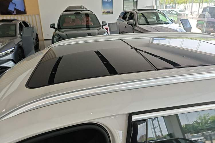 Used BMW X1 2020 sDrive20Li Fashion Model Roof