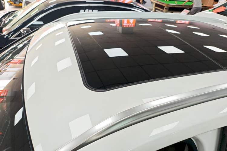 Used BMW X1 2020 sDrive25Li Leading Model Roof