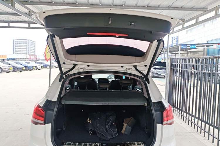 Used BMW X1 2020 sDrive20Li Premium Edition Trunk