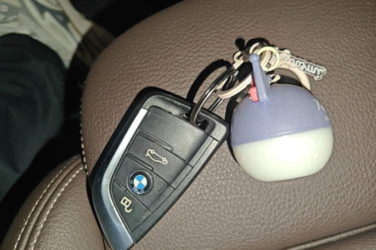 Used BMW X1 2020 sDrive20Li Fashion Model Vehicle Key