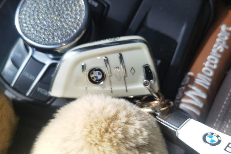 Used BMW X1 2020 sDrive25Li Leading Model Vehicle Key