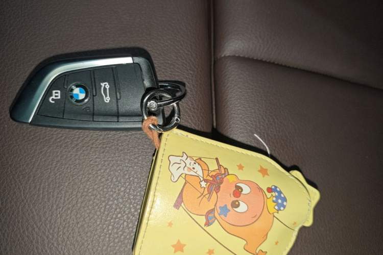 Used BMW X1 2020 sDrive20Li Premium Edition Vehicle Key
