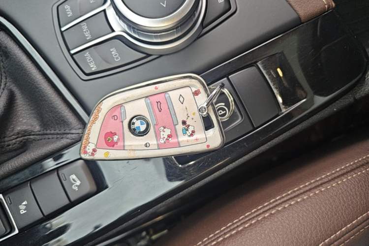 Used BMW X1 2020 xDrive25Li Luxury Edition Vehicle Key