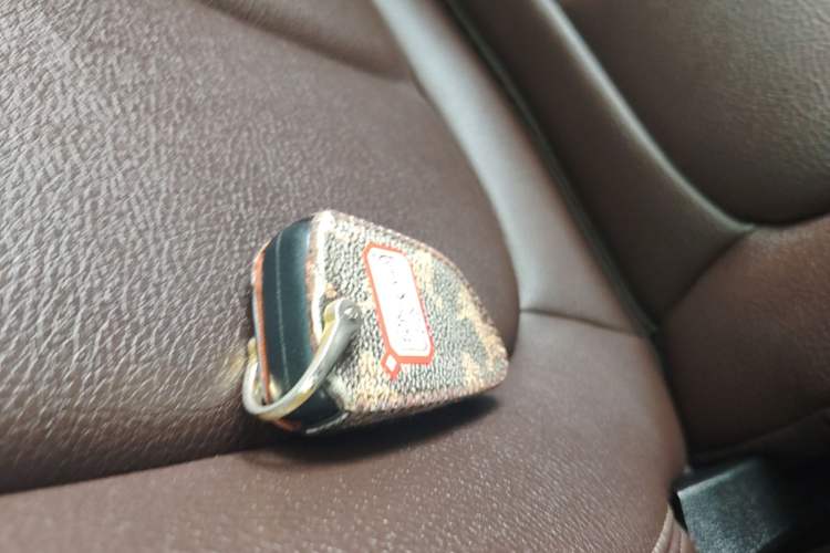 Used BMW X1 2020 sDrive20Li Premium Edition Vehicle Key