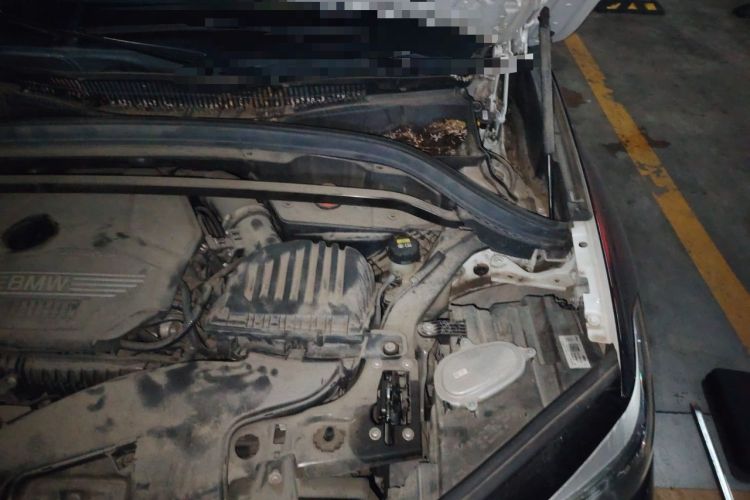 Used BMW X1 2021 sDrive20Li Fashion Model Engine Bay Left