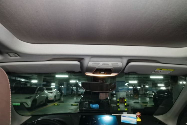 Used BMW X1 2021 sDrive20Li Premium Edition Headliner