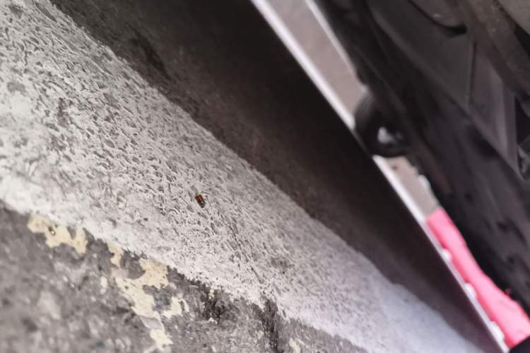 Used BMW X1 2021 xDrive25Li Luxury Model Chassis Rear Right