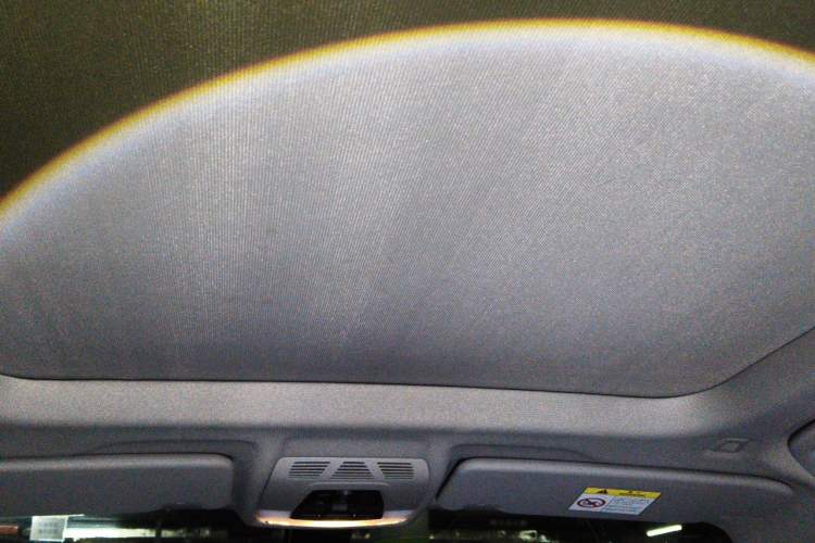 Used BMW X1 2021 sDrive25Li Leading Model Headliner
