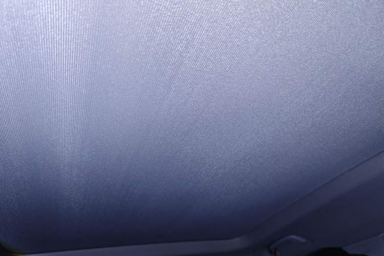 Used BMW X1 2021 sDrive20Li Fashion Model Headliner