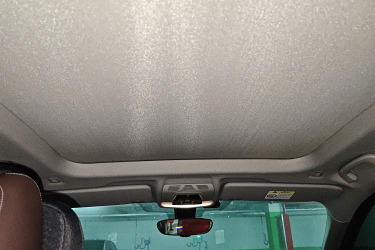 Used BMW X1 2021 sDrive20Li Premium Edition Headliner