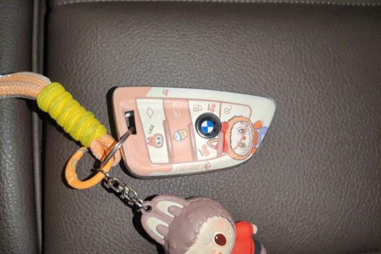 Used BMW X1 2021 sDrive20Li Premium Edition Vehicle Key
