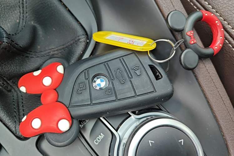 Used BMW X1 2021 sDrive25Li Leading Model Vehicle Key