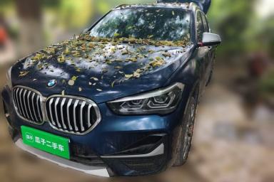 Used BMW X1 2021 xDrive25Li Luxury Model