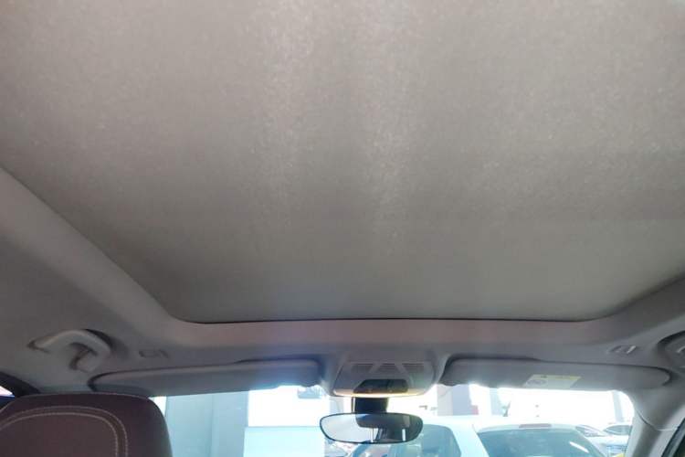 Used BMW X1 2021 sDrive25Li Leading Model Headliner