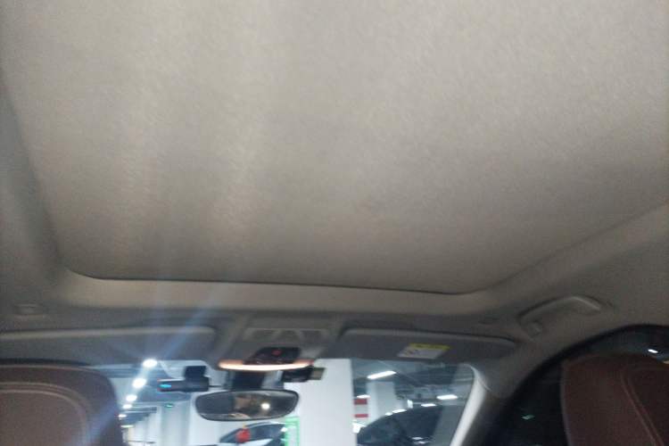 Used BMW X1 2021 sDrive20Li Premium Edition Headliner