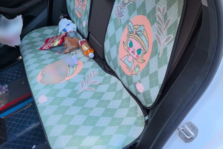 Used BMW X1 2021 sDrive20Li Fashion Model Left Rear Seat