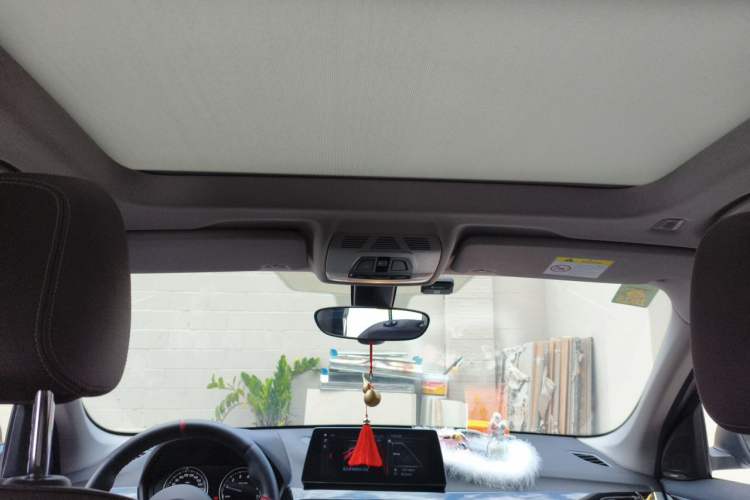 Used BMW X1 2021 sDrive20Li Premium Edition Headliner