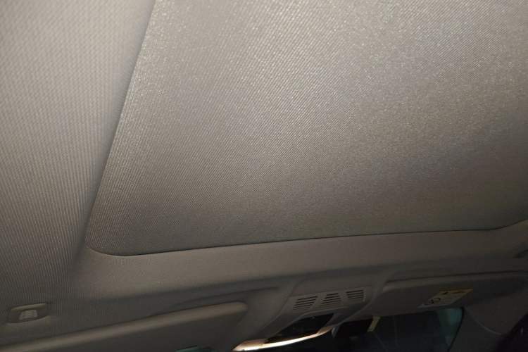 Used BMW X1 2021 sDrive20Li Premium Edition Headliner
