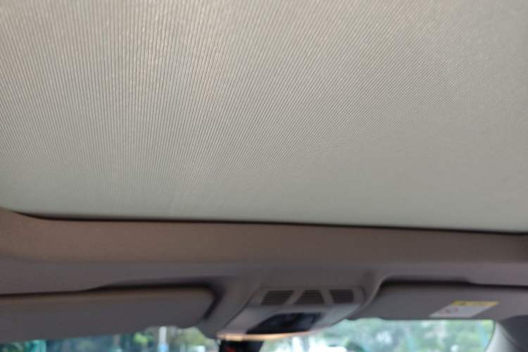 Used BMW X1 2021 xDrive25Li Luxury Model Headliner