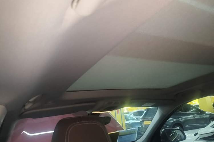 Used BMW X1 2021 sDrive20Li Premium Edition Headliner