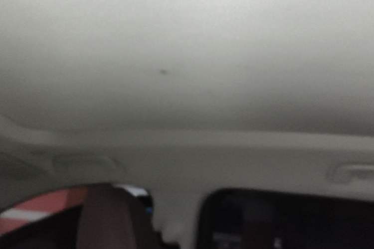 Used BMW X1 2021 sDrive20Li Premium Edition Headliner