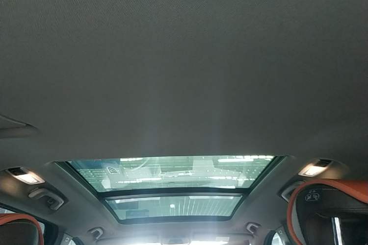 Used BMW X1 2021 sDrive25Li Leading Model Headliner