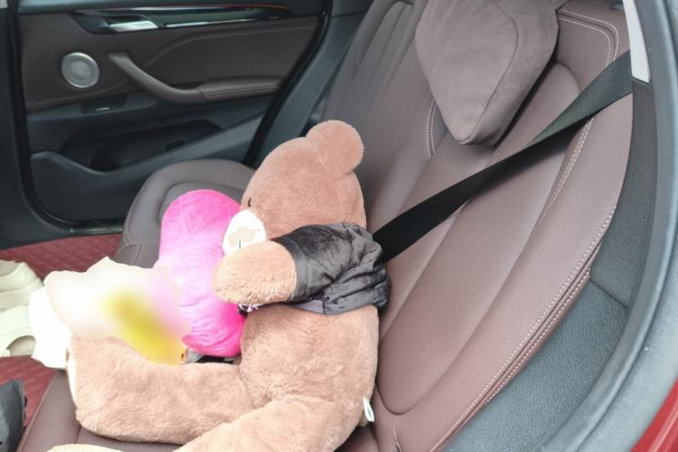 Used BMW X1 2021 sDrive20Li Premium Edition Left Rear Seat
