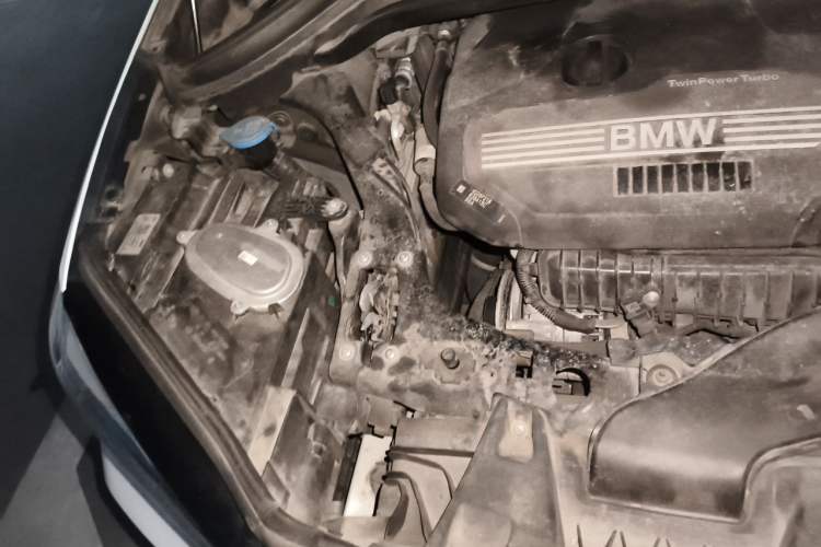 Used BMW X1 2021 Restyled sDrive20Li Premium Edition Engine Bay Right