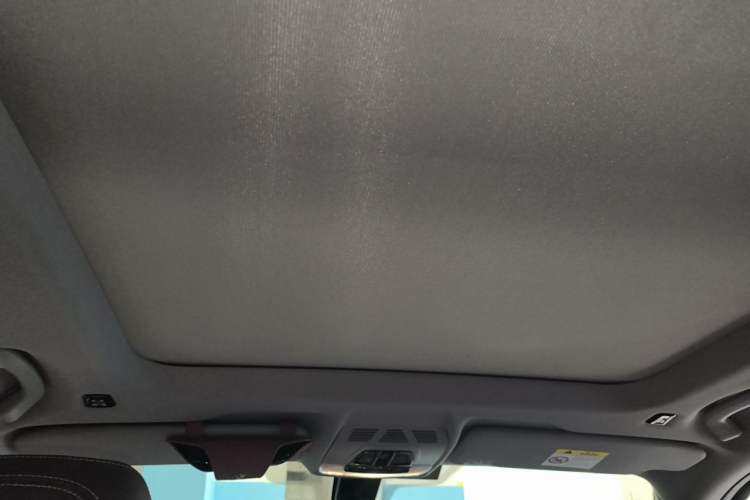 Used BMW X1 2021 sDrive25Li Leading Model Headliner