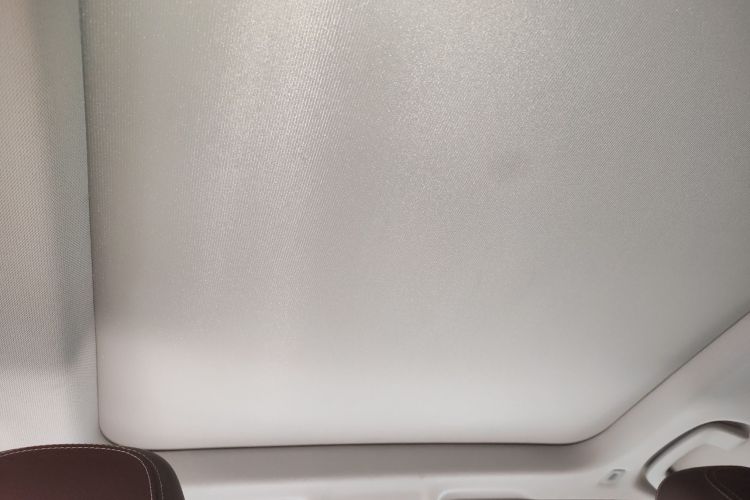 Used BMW X1 2021 sDrive25Li Leading Model Headliner