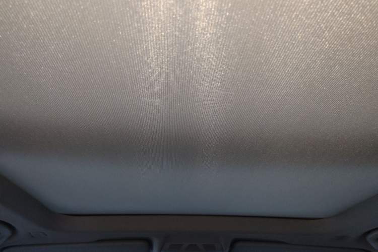 Used BMW X1 2021 Restyled sDrive20Li Premium Edition Headliner