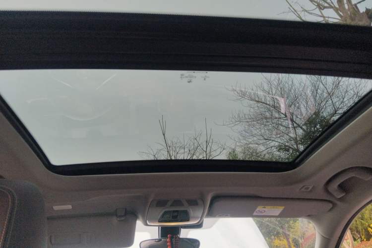 Used BMW X1 2021 sDrive20Li Fashion Model Headliner