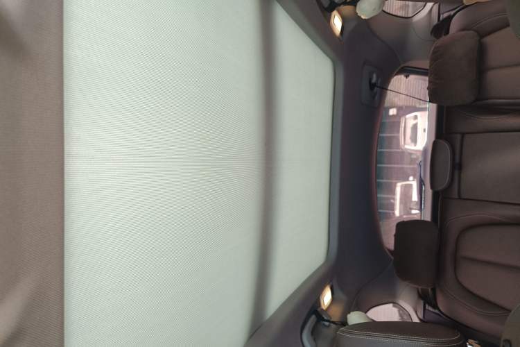 Used BMW X1 2021 sDrive20Li Premium Edition Headliner