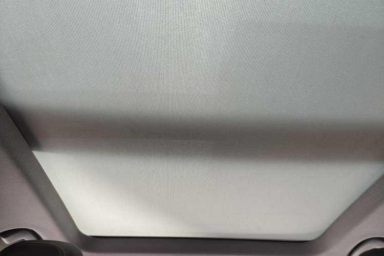 Used BMW X1 2021 sDrive25Li Leading Model Headliner