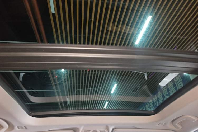 Used BMW X1 2021 sDrive20Li Premium Edition Headliner