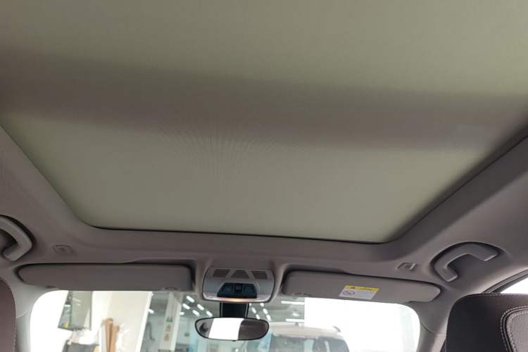 Used BMW X1 2021 sDrive20Li Premium Edition Headliner