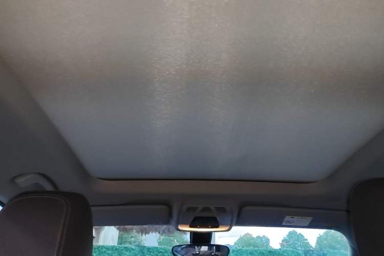 Used BMW X1 2021 sDrive20Li Fashion Model Headliner