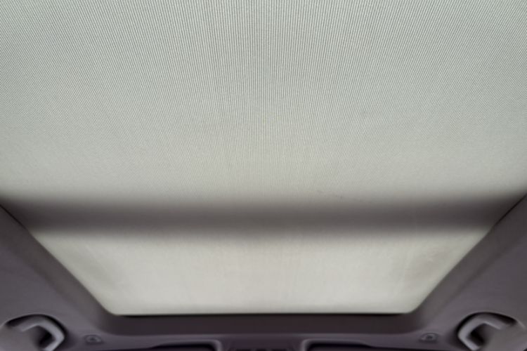 Used BMW X1 2021 Restyled sDrive20Li Fashion Version Headliner