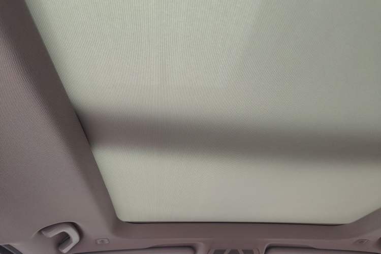Used BMW X1 2021 sDrive20Li Premium Edition Headliner