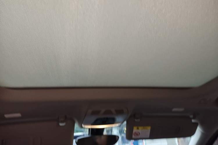 Used BMW X1 2021 sDrive20Li Premium Edition Headliner