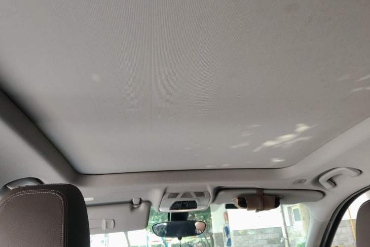 Used BMW X1 2021 sDrive25Li Leading Model Headliner