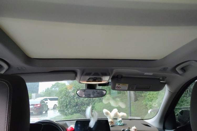 Used BMW X1 2021 sDrive20Li Premium Edition Headliner