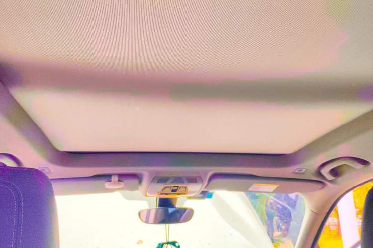 Used BMW X1 2021 sDrive25Li Leading Model Headliner