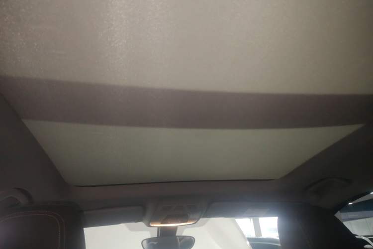 Used BMW X1 2021 sDrive20Li Premium Edition Headliner