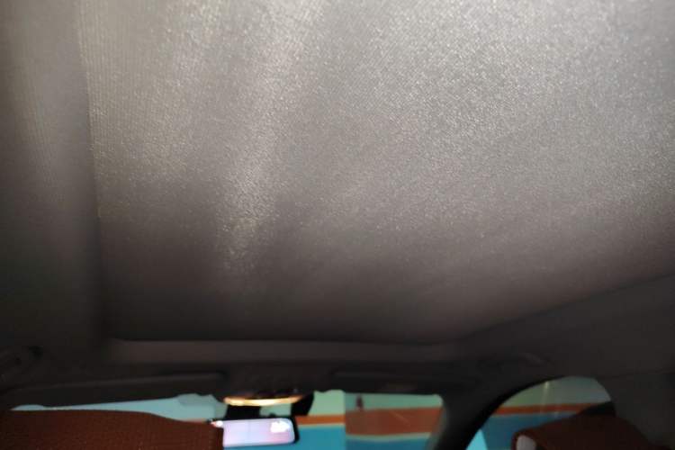 Used BMW X1 2021 sDrive20Li Fashion Model Headliner