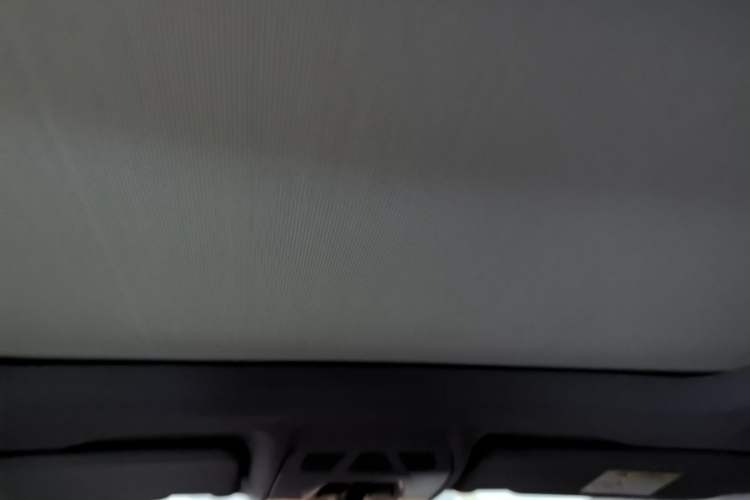 Used BMW X1 2021 sDrive25Li Leading Model Headliner