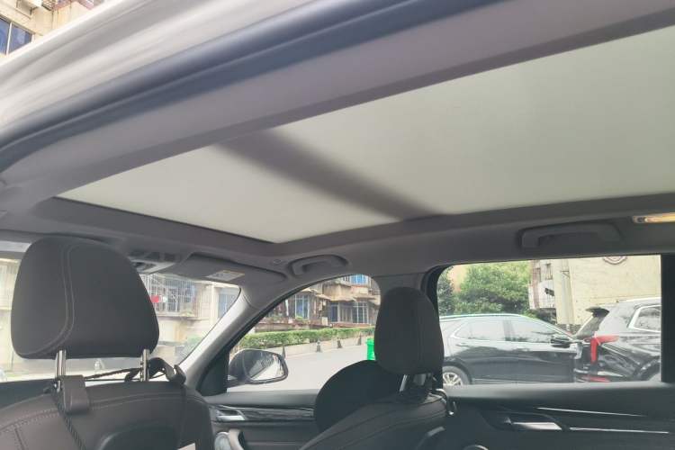 Used BMW X1 2021 sDrive25Li Leading Model Headliner
