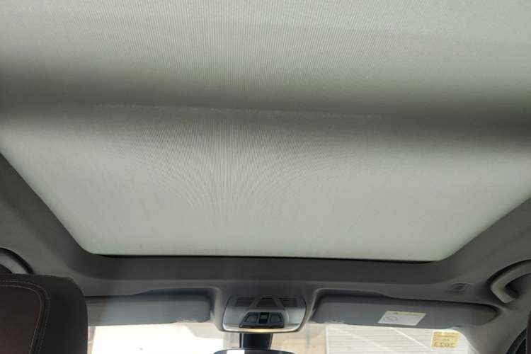 Used BMW X1 2021 Restyled sDrive20Li Premium Edition Headliner