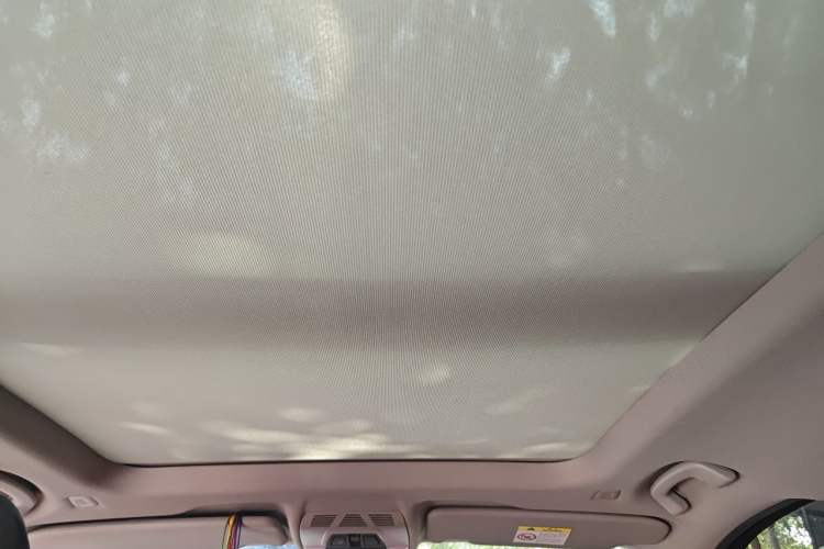 Used BMW X1 2021 sDrive25Li Leading Model Headliner
