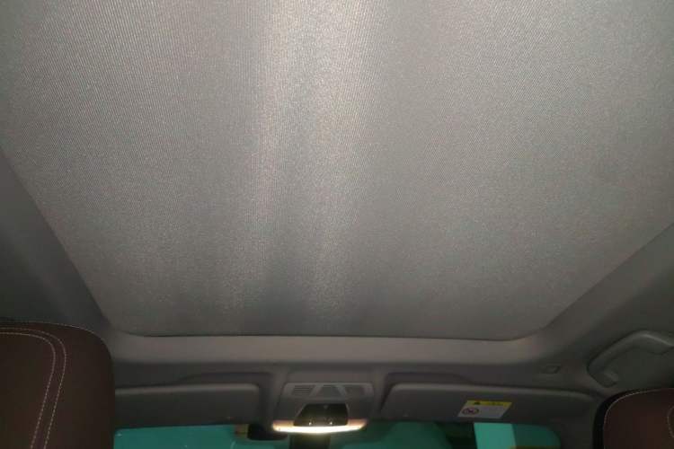 Used BMW X1 2021 sDrive25Li Leading Model Headliner
